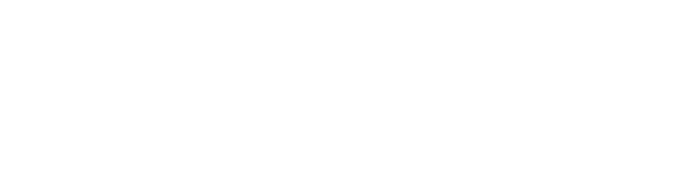 PICO logo 2022_white